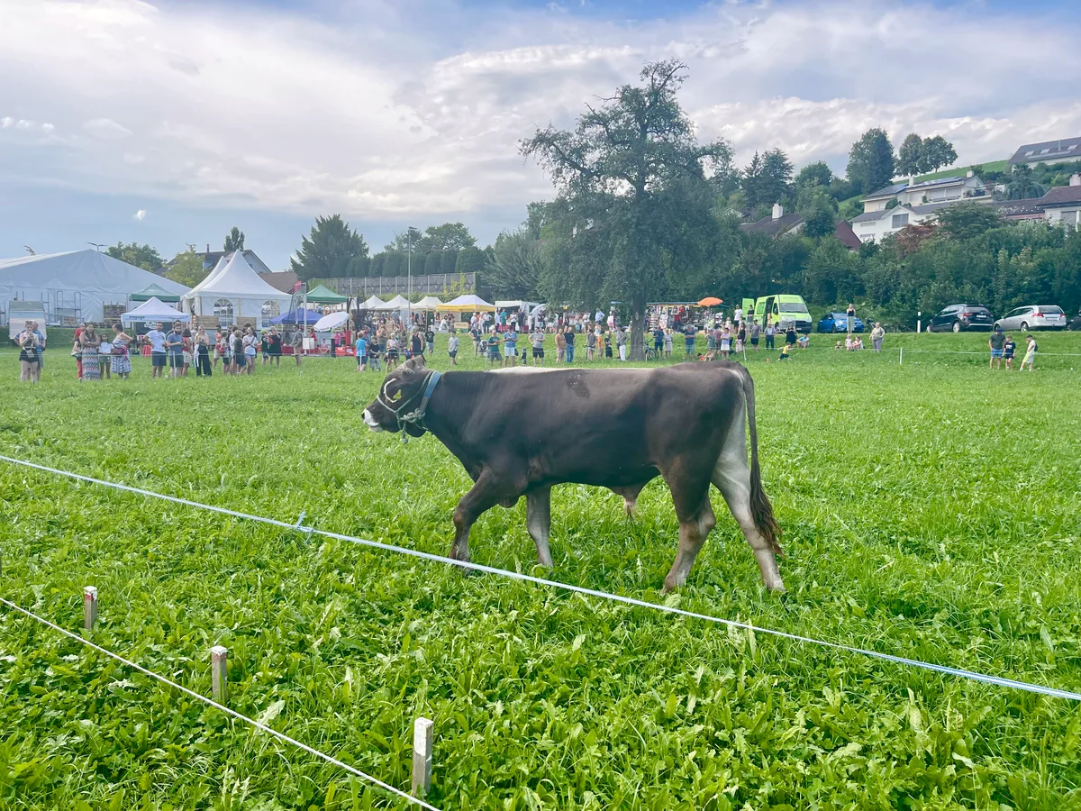 Impressionen von der Chilbi Dürnten 2023.